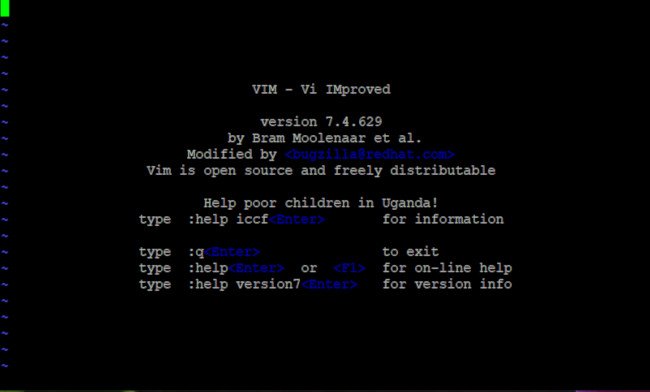 Vim